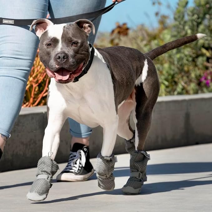 Canada Pooch Dog Boots for Hot Pavement - Dog Boots & Paw Protectors with Anti Slip Rubber | Water Friendly, Breathable Dog Shoes for Hot Days, Great for Dogs Grey - Size 6