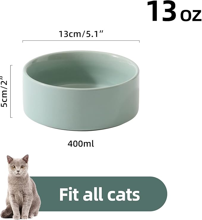 Ceramic Set of 2 Cat Bowls, Food and Water Bowls for Cats, Kitty, 2pcs Cat Dishes, Pet Feeder(5.1inch, 2 x Light Green Bowls)
