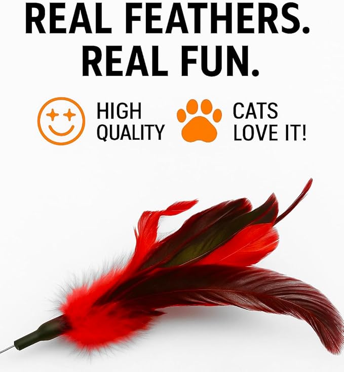 Cat Wand Toy Feather Sticks - 5 Piece Interactive Wands Toy Set with Feathers, Durable Spring Design - Perfect for Engaging Playtime Fun for Kittens and Cats - Cat Toys for Indoor Cats
