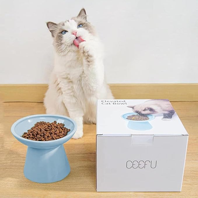 Extra Wide Elevated Ceramic Cat Bowl, 6.2" Shallow Dish for Whisker Fatigue Relief, 5" Height for Easy Feeding, Durable Raised Cat Food Bowls, Pack of 2, Blue