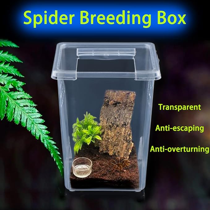 4 Pcs Insect Spider Terrariums Breeding Box Hatching Container Small Reptile Arboreal Spider Mantis Scorpion Centipede Acrylic Breeding Box