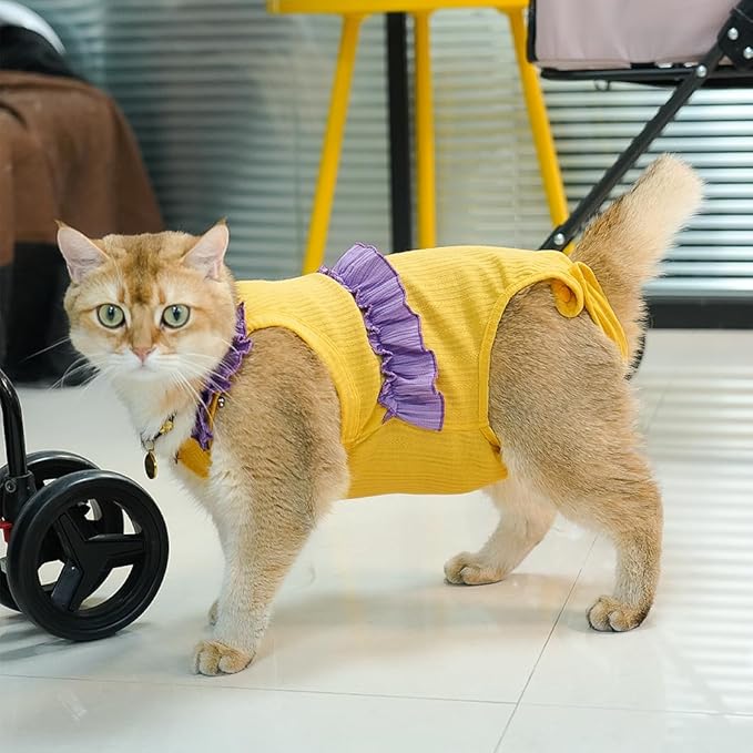 Cat Recovery Suit,Kitten Onesie After Surgery,E-Collar Alternative for Abdominal Wound and Skin Diseases,Soft Breathable Bodysuit After Spay（Yellow-m）