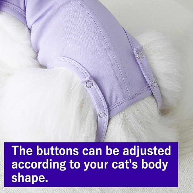 Cat Recovery Suit for Abdominal Wounds and Skin Diseases,Breathable Surgical Recovery Shirt After Surgery Wear Anti Licking Wounds,E-Collar Alternative for Female Cats Kitten(RSC01-blue-m)
