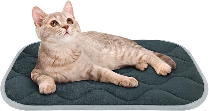 furrybaby Dog Bed Mat Flat Crate Mat with Anti-Slip Bottom Machine Washable Pet Kennel Pad for Dog Sleeping (XS 22x13'', Grey Mat)