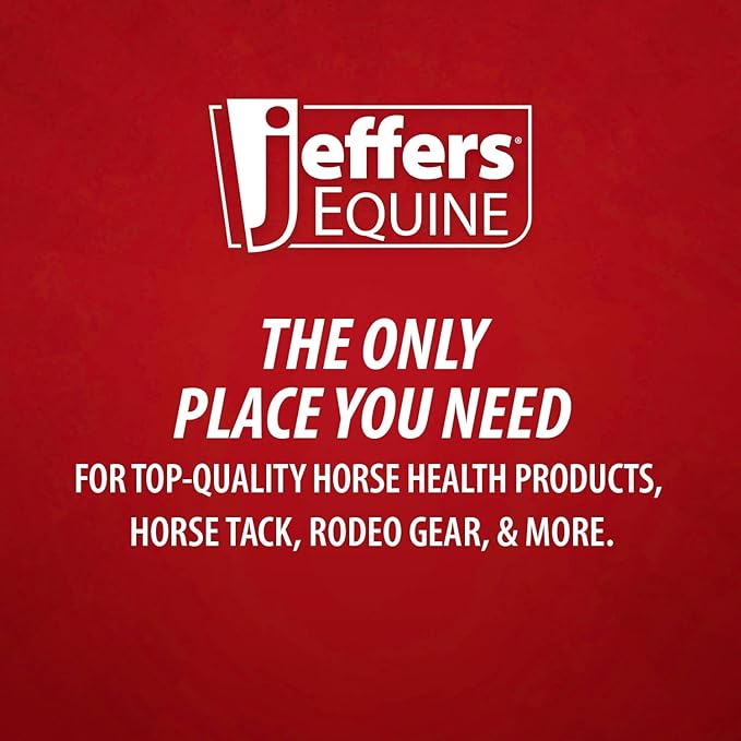 Jeffers Equine Neon Horse Boots – 1 Pair – Turquoise & Purple – Medium Size – Breathable Neoprene, Secure Straps Closures – Durable Protection for Front & Hind Legs, Trail & Riding Use