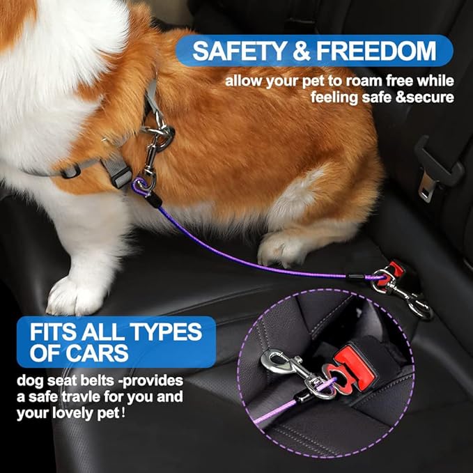 Dog Seat Belt Harness for Car,Dog Seatbelt of Coated Wire Leash Safety Restraint,No Chew Tether Cable Vehicle,Double Clips & Latch (Purple, 24 inch/60 CM)