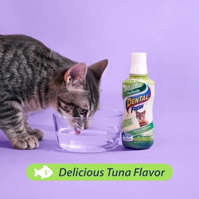 Dental Fresh Water Additive for Cats, Original Formula, 8 oz – Cat Breath Freshener – Products for Cats to Help Overall Cat Dental Health