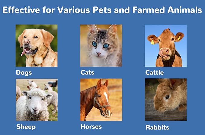 Eye Health Cream for Cats, Dogs, Pets, Cattle, Sheep, Horse, Bird 1/8 oz /3.5gr - 1Pcs