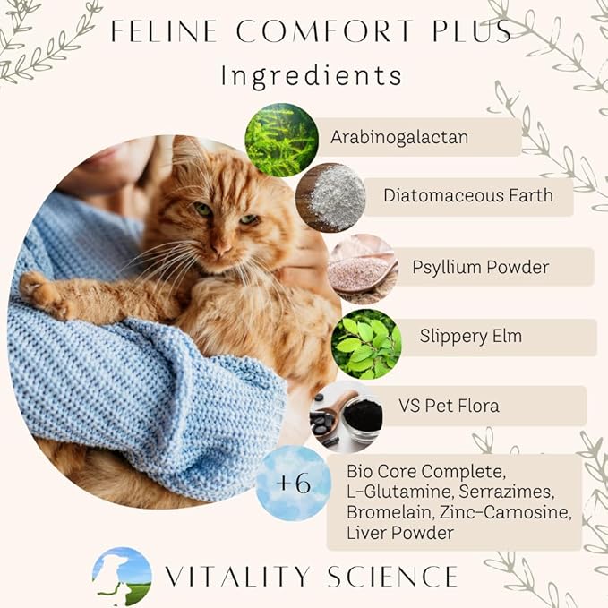 Feline Comfort Plus, Extra Drying Digestive Aid, GI Support Helps with Vomiting and Diarrhea, 100% Additive Free (Seafood, Large)