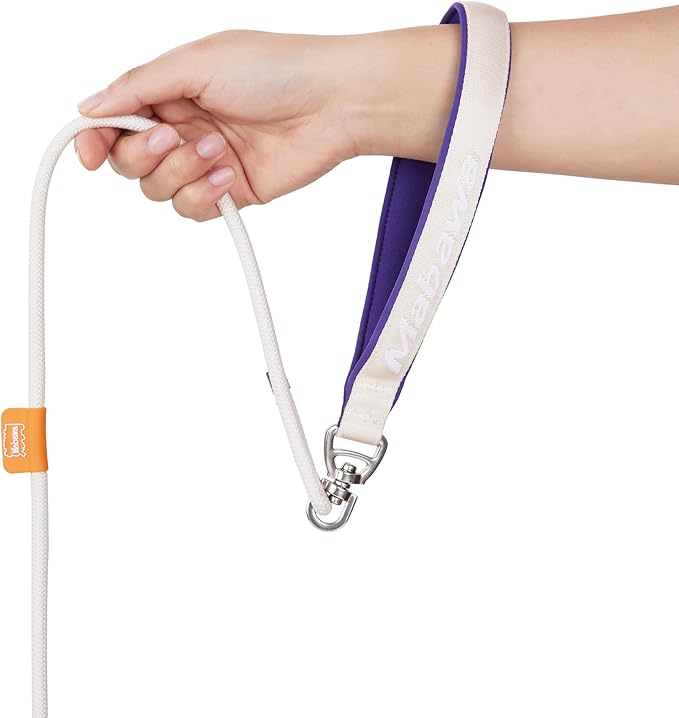 Dog Anti-Slip Leash 5FT with Metal Stopper - Durable No-Pull Training Lead for Small, Medium & Large Dogs - Comfortable Handle Nylon Rope, Tangle-Free Pet Walking Leash (Beige, 5 FT)