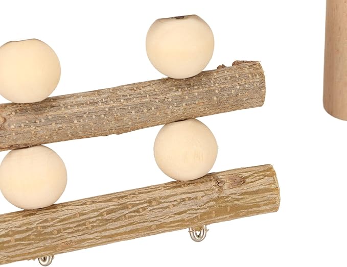 Diydeg Hamster Wooden, 2 Layer Small Hamster Stand Playground with Ladder, Hamster Climbing Toy Cage Accessories for Squirrel Gerbil Chinchilla Parrot Bird Small Animals