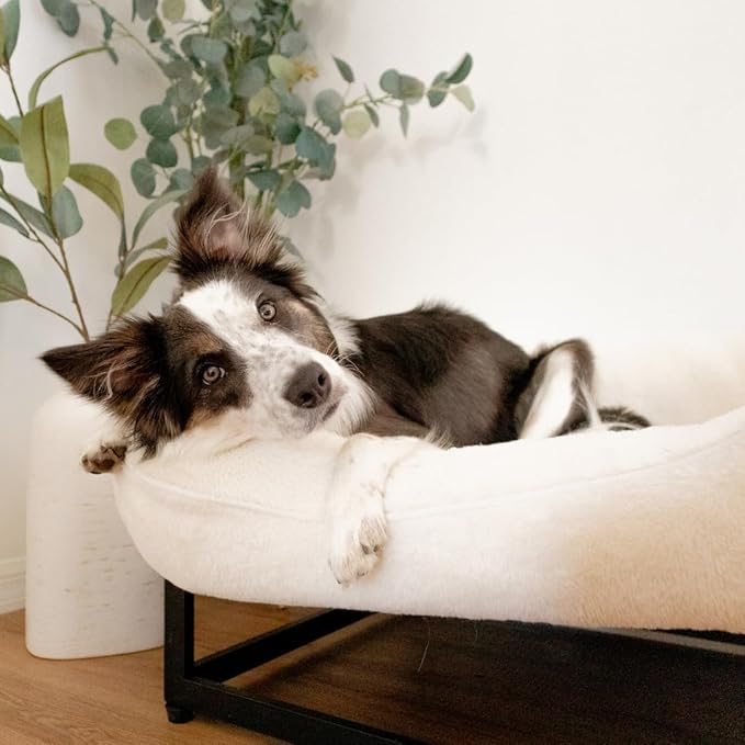 FUZI Luxury Aesthetic Dog Bed for Small Dogs with Washable Cover, Pet Couch, Pet Bed with Sides, Non-Slip Bottom, Soft and Durable Calming Dog Bed, Faux Rabbit Fur, Small 25.1x16.75x9.5 Soft White