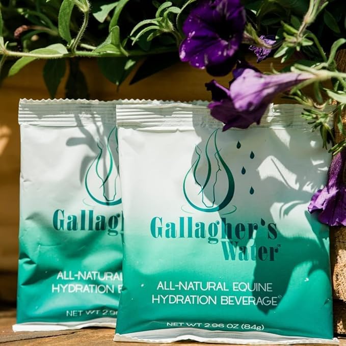 Gallagher's Water 12 Pack All-Natural Equine Hydration Treat - Enhancement Powder Mix Horse Drink Treat to Help Encourage to Drink Water - Made with All Natural Ingredients, FEI Compliant