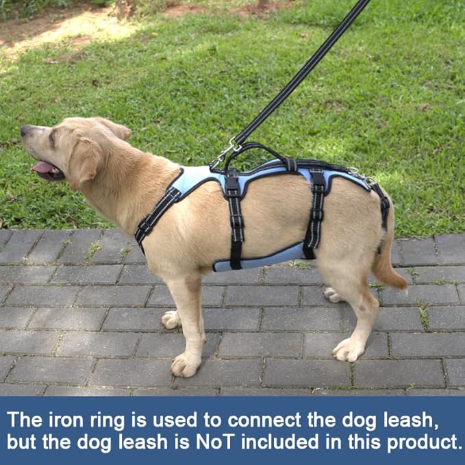 Coodeo Dog Lift Harness, Full Body Support & Recovery Sling, Pet Rehabilitation Lifts Vest for Old Dog with Arthritis Walk(Bule,L)