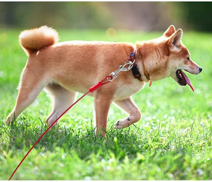 BV Dog Tie Out Cable 30 Feet - Heavy Duty Dog Lead Up to 125 Pounds - Reflective & Rust-Free with Quick Release Swivel Clips & 360° Rotating Clasp - Tangle-Free Dogs Runner for Yard (Red, Single)