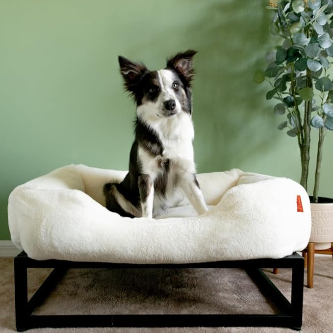 FUZI Luxury Aesthetic Dog Bed for Small Dogs with Washable Cover, Pet Couch, Pet Bed with Sides, Non-Slip Bottom, Soft and Durable Calming Dog Bed, Faux Rabbit Fur, Small 25.1x16.75x9.5 Soft White
