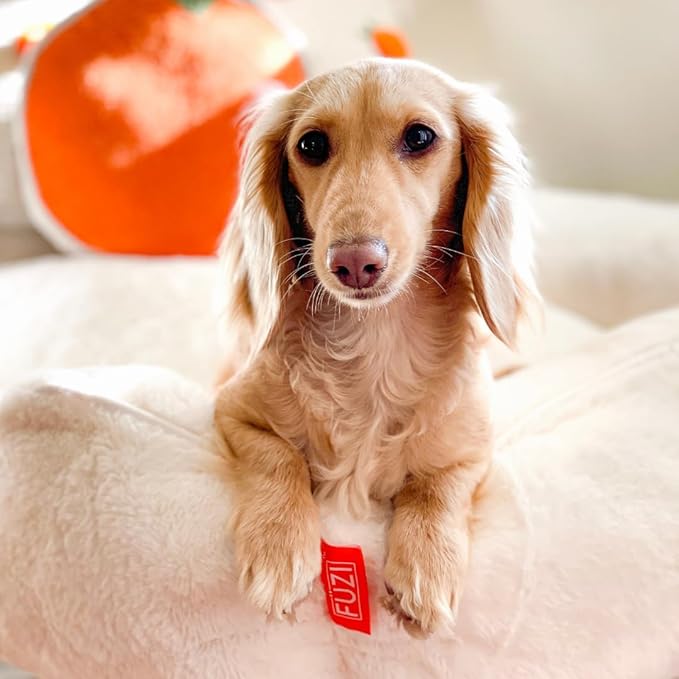 FUZI Luxury Aesthetic Dog Bed for Medium Dogs with Washable Cover, Pet Couch, Pet Bed with Sides, Non-Slip Bottom, Soft and Durable Calming Dog Bed, Faux Rabbit Fur, Medium 31.75x23.6x9.5 Soft White