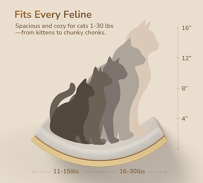 Cat Wall Shelf & Window Perch Combo, Wood Cats Wall Furniture with Soft Foam Curved Bed and Felt-Padded Steps, 4-Piece Floating Cat Climbing System