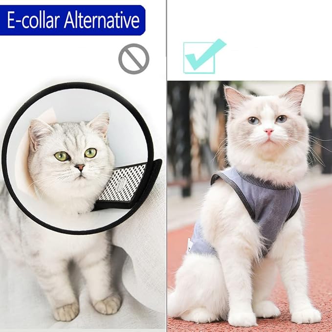 Cat Surgery Recovery Suit Cat Onesie for Cats After Surgery Spay Surgical Abdominal Wound Skin Diseases E-Collar Alternative Wear (Grey-Blue-M)