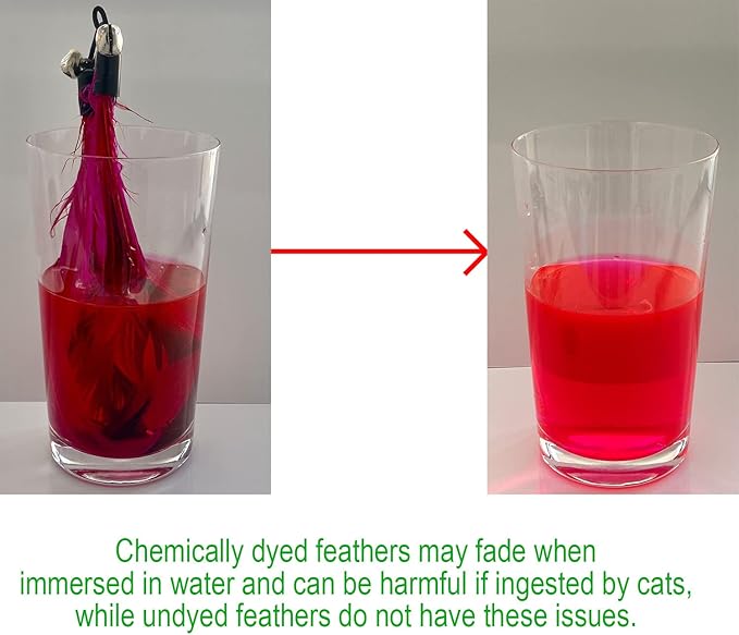 Cat Toys - No Chemical Dyeing Cat Feather Toys for Indoor Cats - Include Cat Wand and Natural Feather Refills