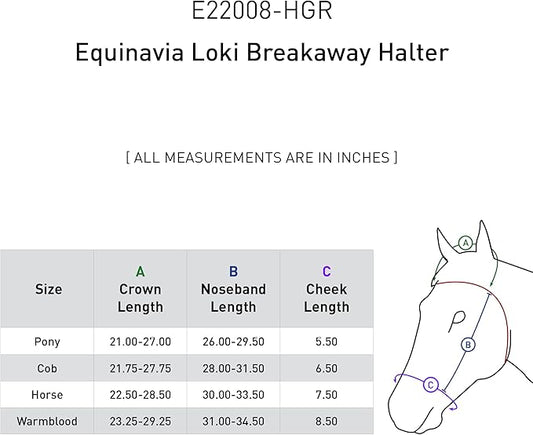 Equinavia Loki Adjustable Breakaway Horse Halter - Hunter Green - Pony