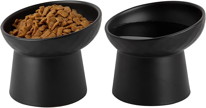 Ceramic Raised Cat Bowls, Elevated Tilted Cat Food and Water Bowls Set, Porcelain Stress Free Pet Feeder Dish for Cats and Small Dogs, Dishwasher and Microwave Safe, Set of 2(Black)