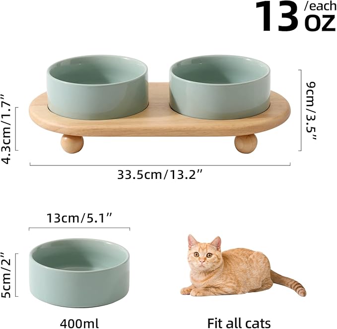 Ceramic Elevated Cat Food and Water Bowl, Kitty Bowl, Raised Cat Dish, Pet Feeder (5.1 in, 2 x Light Green + Stand)