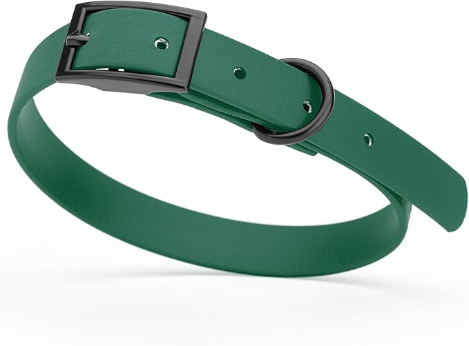 Dogline Biothane Waterproof Dog Collar Strong Coated Nylon Webbing with Black Hardware Odor- Proof for Easy Care Easy to Clean High Performance Fits Small Medium or Large Dogs, Hunter Green