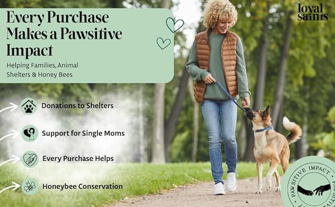 Freeze Dried Raw Dog Food - Premium Beef Flavor with High Protein and Grain Free Dog Food for Small or Large Breeds and Picky Eaters - Versatile as Meal Topper, Snack, and Treats, 14 Oz