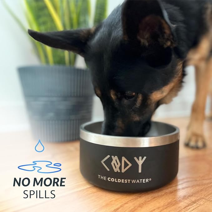 Coldest Dog Bowl - Anti Rust Metal, Non Slip, 3 Layers Insulated Stainless Steel Dog Bowls - Spill Proof & Heavy Duty - Water Bowl for Dogs, Cats, Dish Washer Safe (100 oz, Saturns Purple Glitter)