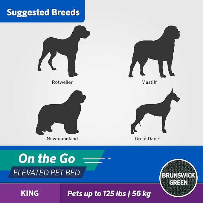 Coolaroo On-The-Go Elevated Dog Bed - Foldable Pop-Up Travel Dog Bed with Breathable, Moisture-Resistant Fabric, Carry Bag Included, Lightweight & Portable, Brunswick Green, Extra Large