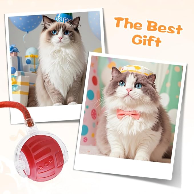 2026 New Interactive Pet Toy Ball, Smart Interactive Toy Ball for Cats & Dogs, Electric Rolling Pet Toy Ball, Rechargeable Interactive Cat Toys for Bored Indoor Cats Kittens to Keep Busy (Red)