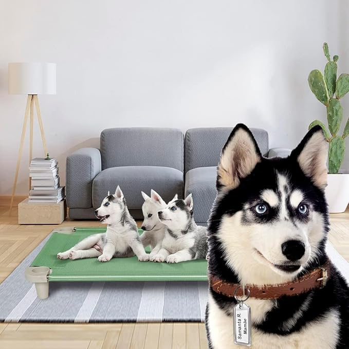 Acrimet Cooling Elevated Pet Dog Bed, Washable and Breathable Mesh Cot, Stainless Steel Frame, Indoor & Outdoor Use, fits Dogs up to 110 lbs (Size: 40” x 24”), Green, 1 Unit