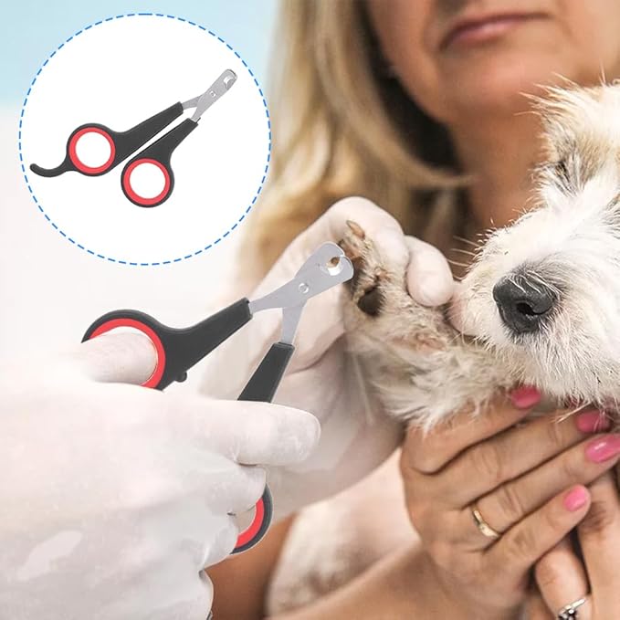 Cat Nail Clipper, Cat Nail Trimmers Cat Claw Clippers Small Dog Nail Clippers Bird Nail Scissors Stainless Steel Parrot Cage Essential Grooming Accessory for Small Animals Ferrets Bunny Rabbit Puppy