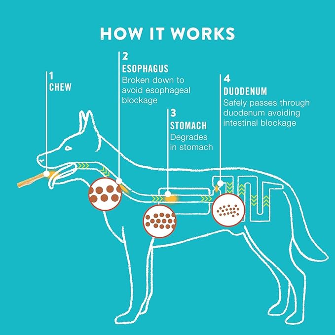 Collagen Rolls - 9" Collagen Rolls for Dogs - Long Lasting Healthy Joint Support - Rawhide Alternative - Skin & Coat Health - Made with Real Peanut Butter, Value Pack, 3 Bags, 9 Count