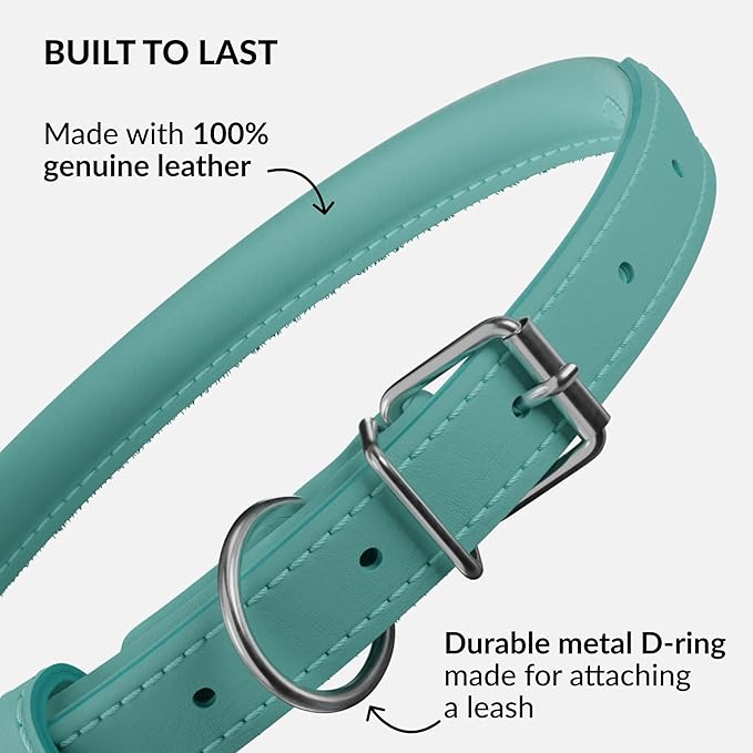 CollarDirect Rolled Leather Dog Collar, Soft Padded Round Puppy Collar, Handmade Genuine Leather Collar Dog Small Large Cat Collars 13 Colors (11-14 Inch, Mint Green Smooth)