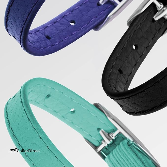 CollarDirect Leather Cat Collar, Kitten Collar with Removable Bell Black Blue Red Orange Lime Green (8-11 Inch, Black)