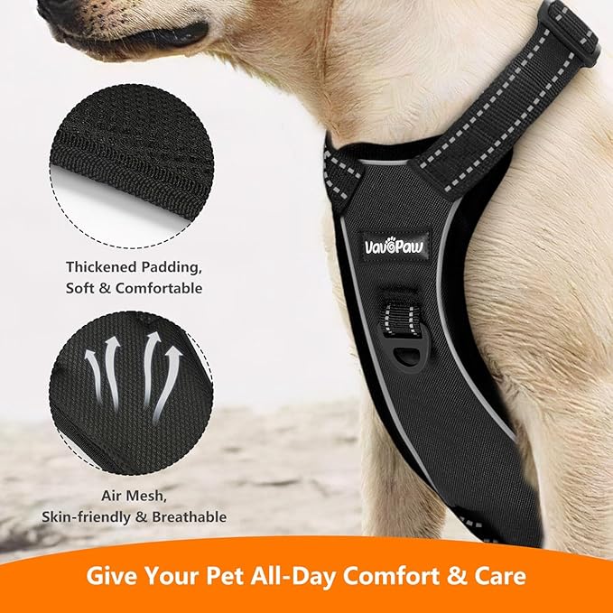 Dog Seat Belt Harness for Car, Dog Car Harness Adjustable Mesh Breathable & Dogs Seatbelt Safety Tether with Elastic Bungee for Small Medium Large Pets(Carbon Black, L)