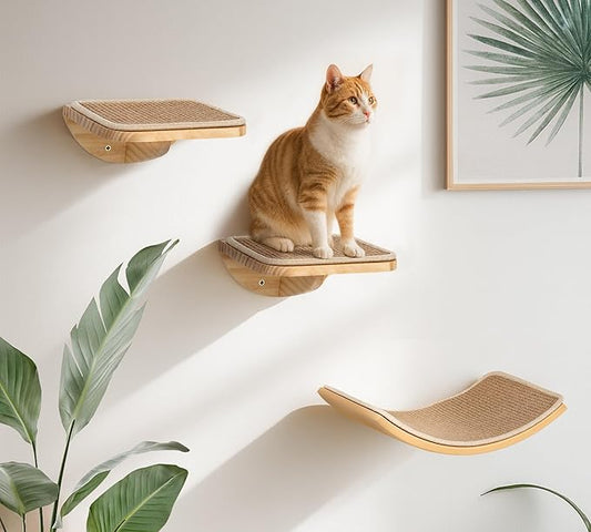 Cat Window Perches, Curved Cat Wall Sisal Mat Bed and 2 Floating Wall Steps, Wall Mounted Climbing Shelves for Sleeping, Playing, and Lounging