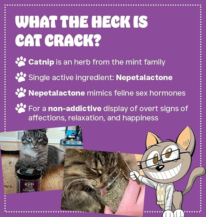 Cat Crack Organic Catnip, 100% Natural Cat Nips Organic Blend That Energizes and Excites Cats, Used for Cat Play, Training, & New Catnip Toys (1 Cup)