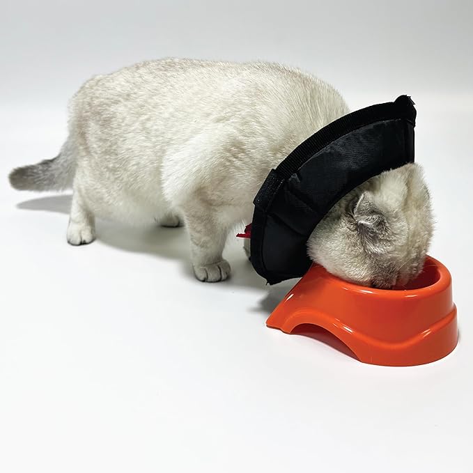 Cat Cone Collar - Soft Adjustable Cat Elizabethan Healing Collar – Lightweight Wound‑Protection Neck Cone for Licking/Biting Prevention, Fits Neck 6.5″–10.5″, Ideal Post‑Surgery & Injury Care