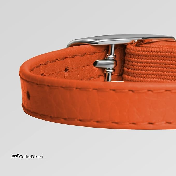 CollarDirect Leather Cat Collar, Cat Safety Collar with Elastic Strap, Kitten Collar for Cat with Bell Black Blue Red Orange Lime Green (Neck Fit 6"-7", Orange)