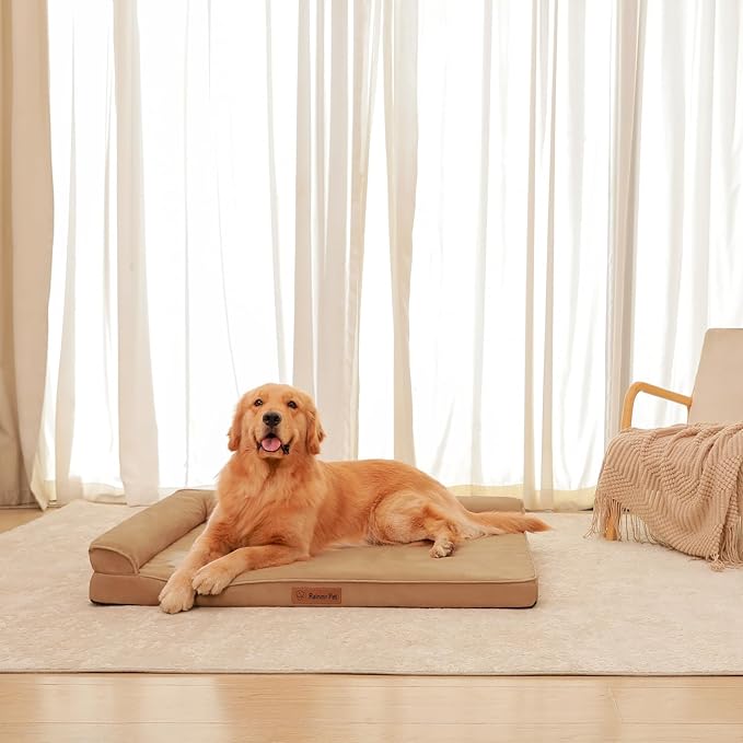 Chew Proof Dog Bed, 3" Memory Foam Dog Bed for Medium and Large Dogs, Removable and Washable Microsuede Cover, Waterproof Liner, Nonskid Bottom, 44x32 Inches XXL Khaki