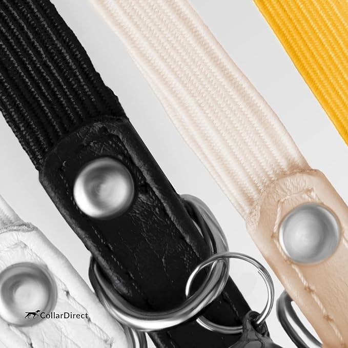 CollarDirect Leather Cat Collar, Kitten Collar with Removable Bell Black Blue Red Orange Lime Green (6-7 Inch, Light Blue)