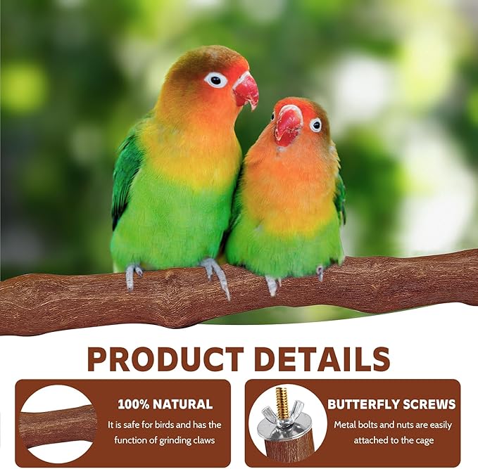 5PCS Bird Perch Stand Natural Wooden Parrot Stand Branch,3 Grape Wood Perch,2 Platform,Paw Grinding Fork Parakeet Chewing Stick Exercise Training Branches for Cockatiels,Small Birds