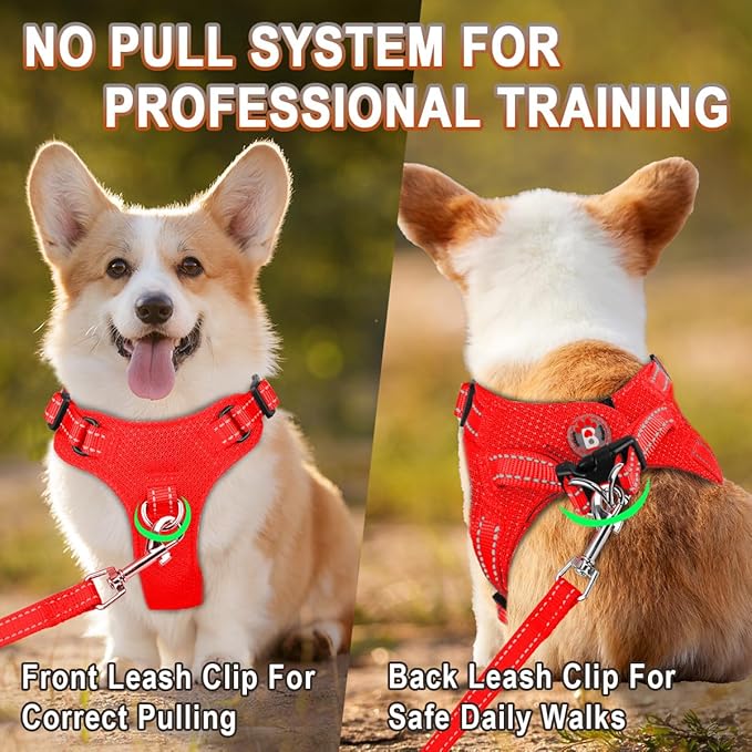 Dog Harness Step in Dog Vest Harness, Reflective Adjustable Puppy No Pull Harness Breathable Soft for Small and Medium Dogs Cats, Red, S