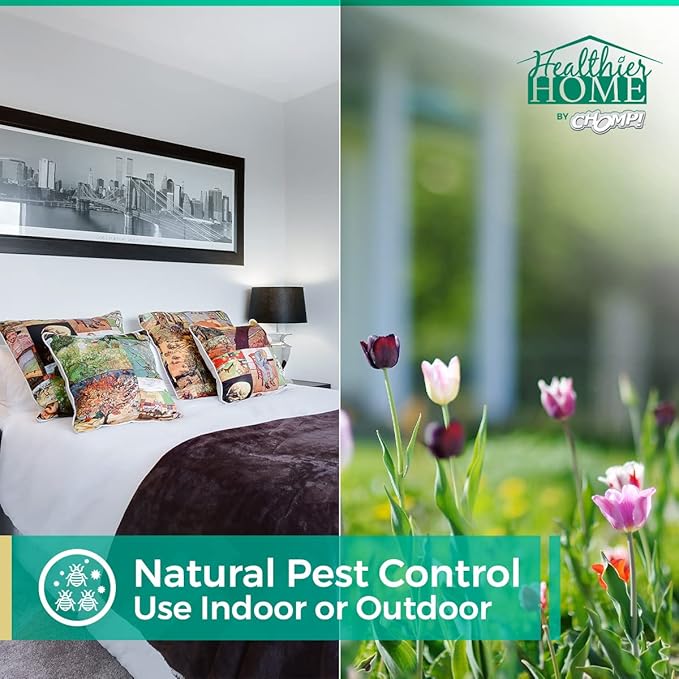 CHOMP! Bed Bug Spray, 3 Pack, Travel Size, Natural, Plant Based Bed Bug Killer, Insect & Pest Control for Home and Hotels for Ants, Bed Bugs, Spiders, Dust Mites, Flys, Peppermint Scent, 3.4 Fl Oz