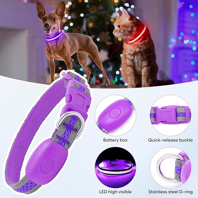 Flashseen LED Cat Collar,Light Up Dog Collar Rechargeable, Dog Lights for Night Walking, Comfortable Soft Mesh Pet Collar Adjustable for Cats Puppy and Small Dogs (Purple, XS)