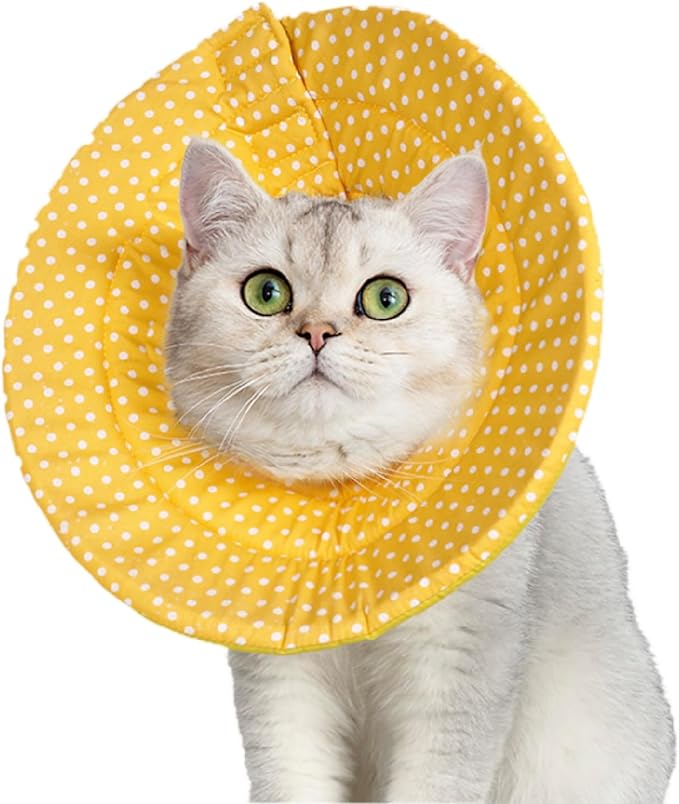 Elizabethan Collar (美/首巻/黄/L)