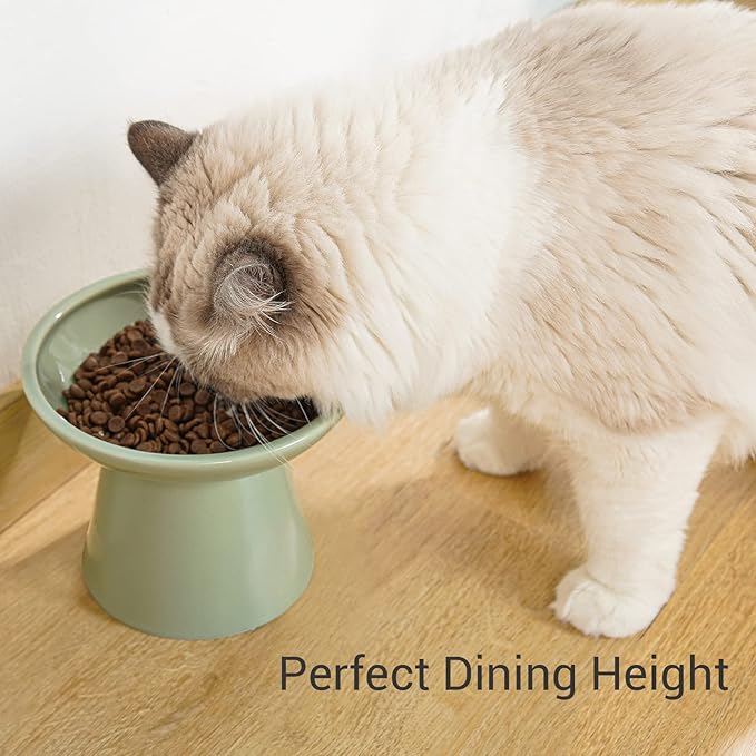 Extra Wide Elevated Ceramic Cat Food Bowl - 6.2" Shallow Dish for Whisker Fatigue Relief, 5" Height for Easy Feeding, Lead & Cadmium Free, Durable Raised Cat Food Bowls, Sage Green